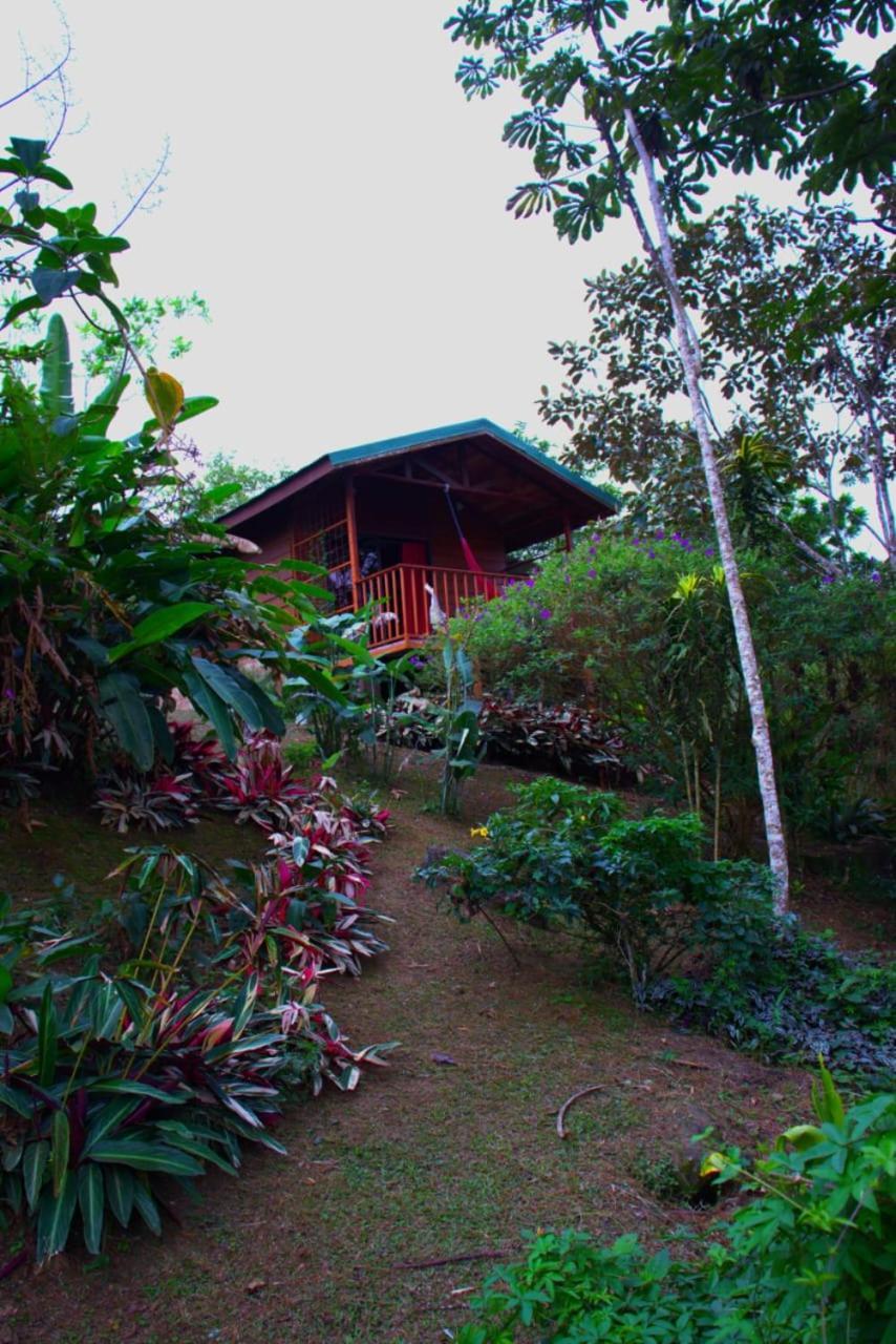 فيلا Eco Granja Don Lolo Quesada  المظهر الخارجي الصورة